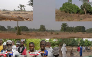 Litige foncier à Thiadiaye : Le maire Omar Youm détruit les vergers des agriculteurs