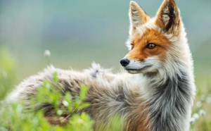 En plein cercle arctique, un mineur russe a profité de ses pauses pour réaliser des photos époustouflantes ! Vraiment très fort...