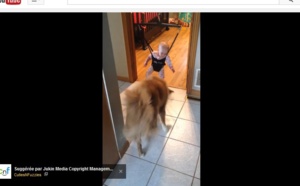 Ce bébé n’arrivait pas à sauter, du coup, un chien a décidé de lui montrer comment faire !
