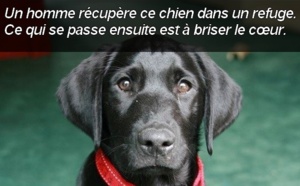 Si vous ne deviez lire qu'une seule chose aujourd'hui... Alors lisez ceci.