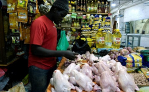 Marché Tilène / Craintes sur sa disponibilité: Le poulet est bien au rendez-vous