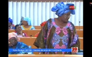 Vidéo: Vote du budget du ministre de la Culture et de la Communication