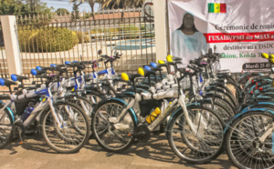 Paludisme: Le PMI a investi 200 milliards FCfa depuis 2007 au Sénégal