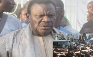 Vidéo - Arrivée des Boeufs et Chameaux de Cheikh Béthio à Touba