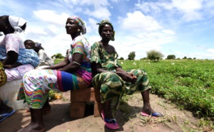 Pauvreté dans le monde rural : Les jeunes du village de Daga Birame réclament de meilleures conditions de vie
