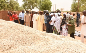 Tournée agricole d’avant l’hivernage à Tambacounda et Kolda: Aly Ngouille Ndiaye visite les dispositifs de la campagne agricole