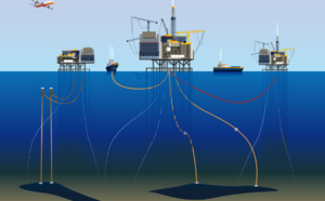 PETROTIMGATE