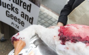 Etats-Unis : la bataille du foie gras est-elle la bonne ?