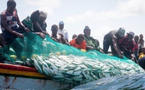 Utilisation des mono filaments : Les pêcheurs de Thiaroye-sur-mer exigent la levée de l’interdiction
