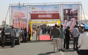 Photos - Le Président Macky Sall préside la première édition de la journée nationale de l'élevage