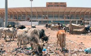 Abords du stade Léopold Sédar Senghor, de la Patte d’Oie, de Liberté VI : Le retour des «bannis»