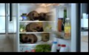 Vidéo: Famille nombreuse quelle organisation