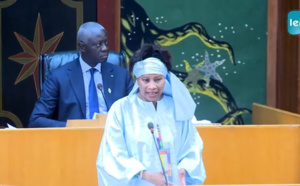 Assemblée nationale: Aïssata Tall Sall s'insurge contre les saccages des consulats à l'étranger