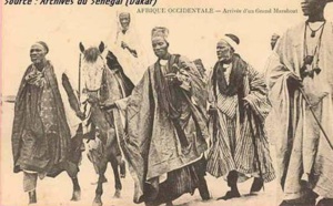 Un reportage inédit sur "Nguelemou", le cheval de Serigne Touba.