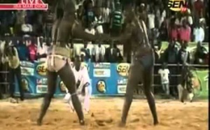 Combat de lutte: Tyson 2 bat Domou Dangou