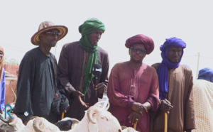 Autosuffisance en moutons : Les éleveurs locaux étalent leurs difficultés et s’engagent à approvisionner le Sénégal (Grand Reportage de LERAL NET à Ranérou)