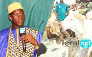 L'exigence des femmes sénégalaises lors de la Tabaski : Une célébration religieuse et culturelle marquée par des responsabilités accrues