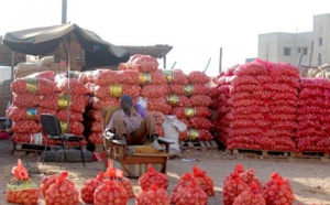 Tabaski 2023 à Saint-Louis : Le marché bien approvisionné en pommes de terre et oignons