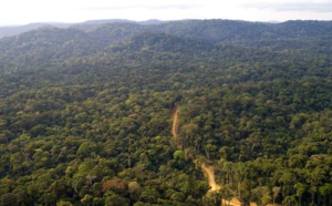 Côté Can : Les journalistes sénégalais se perdent dans la forêt équato-guinéenne pendant 2 heures