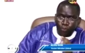 Vidéo - Karim Wade "agressé", Aliou Sow indigné 