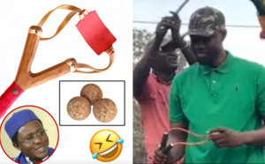 Voici la compilation des vidéos d'Ousmane Sonko qui appelle à l'insurrection, à la destruction des biens et au vol chez les dignitaires, incitant à aller au combat final. À vous de juger...