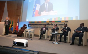 France – Afrique, Forum économique de Paris-Bercy