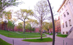 Harvard interdit à ses professeurs de coucher avec leurs étudiants de premier cycle