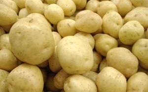Gel des importations de pomme de terre à partir du 15 février