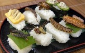 Top 10 des façons déguisées de manger des insectes (bon appétit)