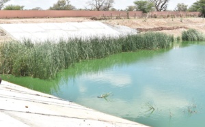Bassin de Darou Rahmane et Pofdy: Les deux bassins renforcés et sécurisés