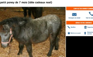 Les perles du site LeBonCoin... Il y a vraiment des gens chelous quand même !