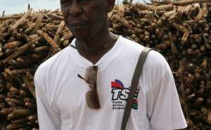 Autosuffisance en riz : Cheikh Amar annonce l’importation de 2000 tracteurs et accessoires