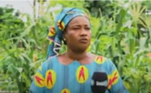 Maraîchage à Tambacounda : Les femmes, engagées dans la culture maraîchère, demandent ardemment des financements 
