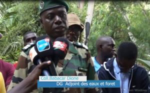 Expo de Doha / Colonel Babacar Dione: « Une autre facette de la nature sénégalaise avec toutes ses vertus, sera montrée »