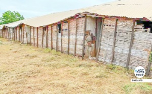 Education - Infrastructures : Sédhiou comptabilise 673 classes en abris provisoires (IA)