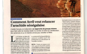 Comment Avril et Abbas Jaber comptent relancer l'arachide sénégalaise (Jeune Afrique)