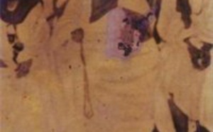 Biographie concise de Cheikhna Cheikh Saad Bouh Chérif 