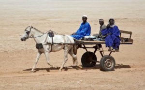 Saliou MBAYE- Birima Birima