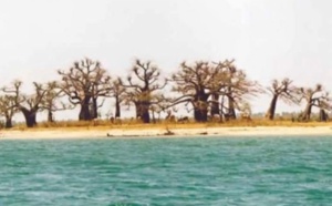Etoile de Sangomar - Gnowe ngar A Nanlod