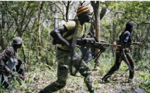 Casamance : Un accrochage entre l’armée et le MFDC, fait deux morts