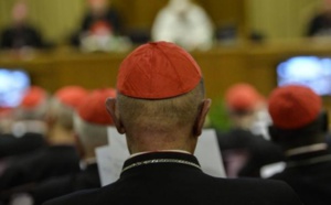Pédophilie: pressions sur le pape pour révoquer la nomination d'un évêque au Chili