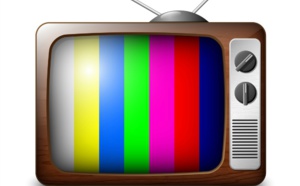 Le crépuscule du citoyen et le triomphe de la télé-citoyenneté : Quand des idoles deviennent des bourreaux