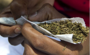 Thiès / Le dealer de 60 ans se confie: "Je ne suis pas un trafiquant. Je souffre d’asthme et le chanvre indien me soulage»