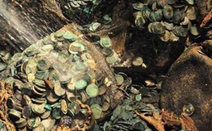 Namibie : Un trésor de 50 millions de dollars retrouvé au fond de l'océan