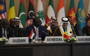39e session du COMCEC en Turquie: Abdou Karim Fofana porte la voix de l’Afrique
