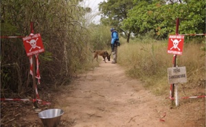 Une voiture militaire saute sur une mine en Casamance : Quatre soldats décédés !