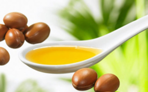 L'huile d'argan : des vertus anti-âge pour lutter contre le vieillissement de la peau