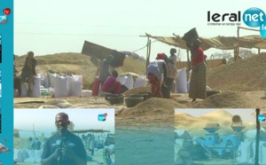 Reportage découverte...: Que peut-on savoir de l'URASSO de Keur Madiabel ?