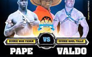 Lutte: Valdo bat Pape Mbaye