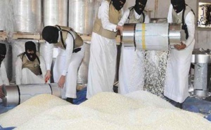 Le Captagon, la drogue miracle des djihadistes de l'État Islamique